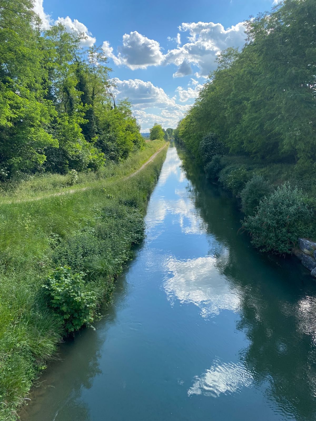 26 juin 2022 : tour à vélo de Paris à Meaux par le canal de l'Ourcq