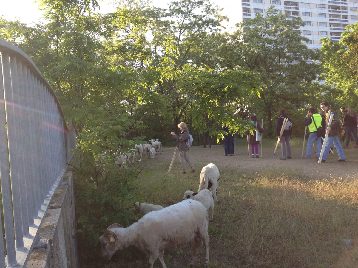 1er juin 2013 : La Courneuve à saute-moutons