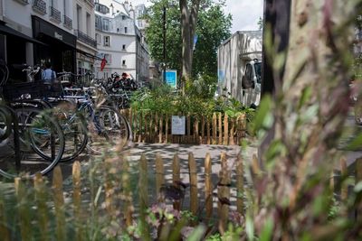 Sommes-nous prêts à revoir de la pleine terre sur nos trottoirs ?